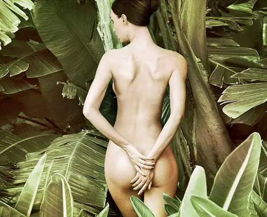 Intimacy & wellness desk — editorial mood